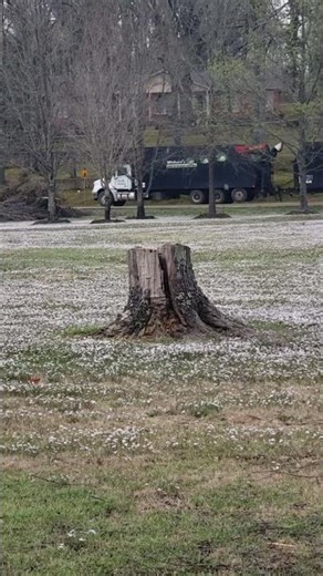 Oxford, MS Tree disposal vehicle | commonly seen