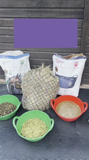 Creating an Effective Conditioning Feed Plan