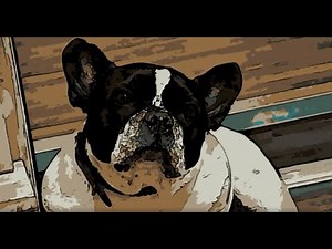 transformez votre photo en cartoon avec le filtre Cartoon de G'MIC dans GIMP