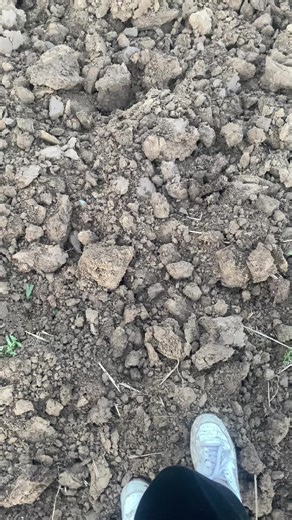 #orba #case #5130 #farmgirl #farmcouple #fyp #fypage #foryou #foryourpage