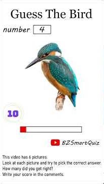 Guess the Bird in 5 Seconds| 6 Different Types of Birds #education #birds