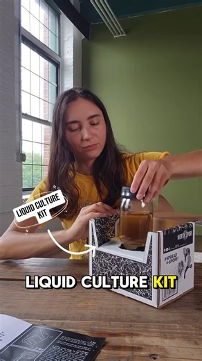 Looking to scale up your next project without scaling up your budget? Our Liquid Culture Syringe Multiplier lets you turn a single spore or liquid culture syringe into 30X more, giving you plenty of clean, vigorous culture for whatever *special varieties* you’re exploring 🌈 We designed it for fast germination, effortless expansion, and smooth inoculation workflows. Save 10% when you buy two: https://northspore.com/products/liquid-culture-kit-syringe-multiplier #northspore #spreadthespore #spore