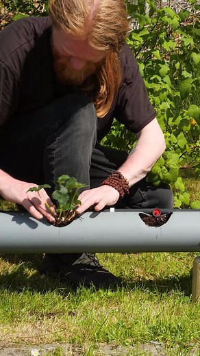 Crafty Panda on Reels