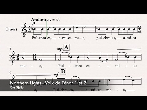 Gjeilo, Ola - Northern lights - Guide voix - Ténor