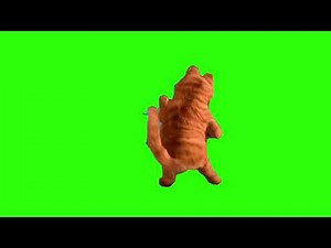 Garfield Green Screen test 1