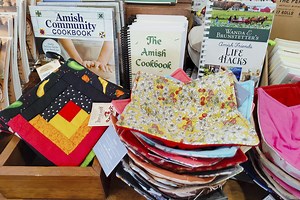 Yes, the Amish Go on Beach Vacations, Too