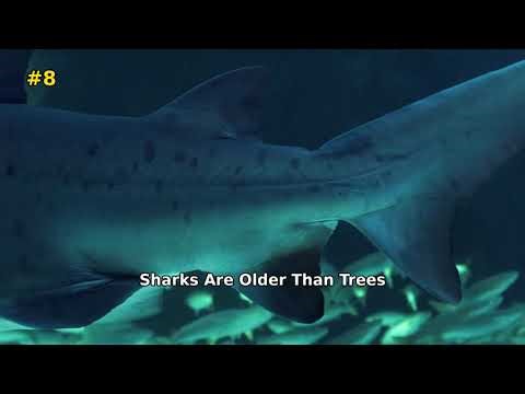 20 Animal Facts That Will Blow Your Mind