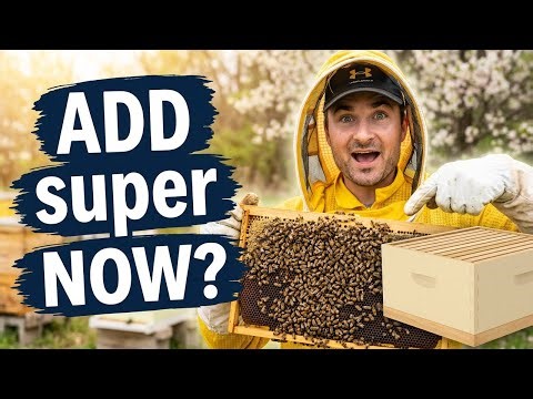 The Biggest Honey Super Mistake Beekeepers Make