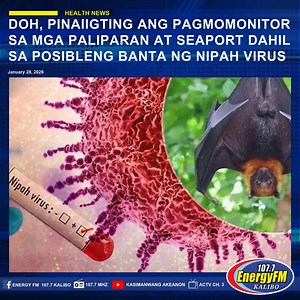 Patuloy na mino-monitor ng Department of Health (DOH) at ng Bureau of Quarantine ang mga paliparan, pantalan at iba pang point of entry sa bansa dahil sa posibleng banta ng Nipah virus. Kabilang sa mga pinaigting na hakbang ang masusing screening ng mga pasahero, thermal scanning, at pagsusuri ng travel history ng mga biyahero mula sa mga bansang may naitalang kaso ng naturang sakit. Ayon sa DOH, wala pa namang naitatala na bagong kaso ng Nipah virus sa Pilipinas, bagama’t may naitalang kaso noo