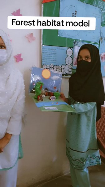 Forest Habitat Model Presentation for Class 6 and Class 7a Science Project