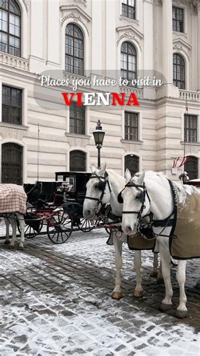 Top Places to Visit in Vienna 🇦🇹 #vienna #wien #austria #travelvienna #viennatravel