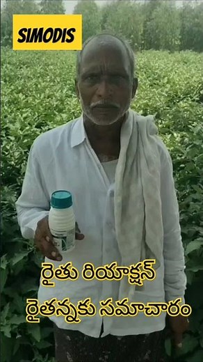 #syngenta || #simodis vadina former openion || #raithannakusamacharam