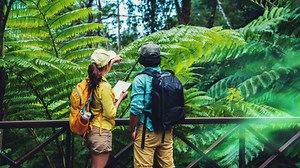 O trabalho do Ecólogo - Atuação profissional na ecologia. Biólogo