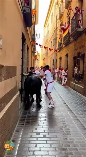 Thrilling Bull Run Through Narrow Streets