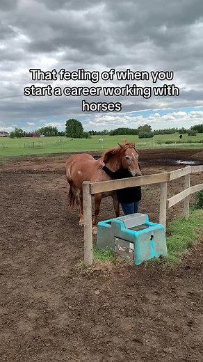 This is your invitation to try Equine Assisted Learning #equineassistedlearning #horses | Equine Connection - The Academy of Equine Assisted Learning Inc