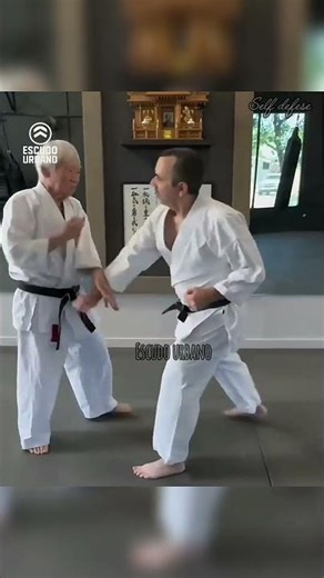 Aikido self-defense technique