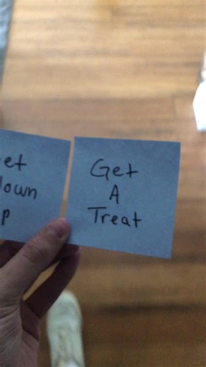 Goodbye soldier 🫡 #rip #explosion #dogs #tiktokban