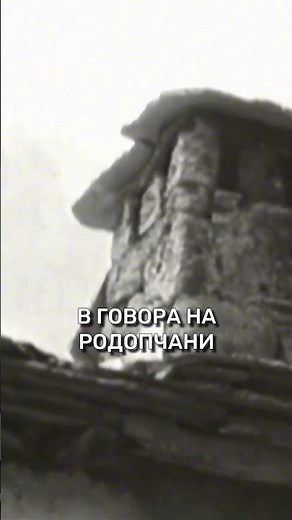 БНТ Представя Николай Хайтов