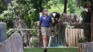 8K views · 303 reactions | W.O.W (WONDERS OF THE WILD): Sit back,...