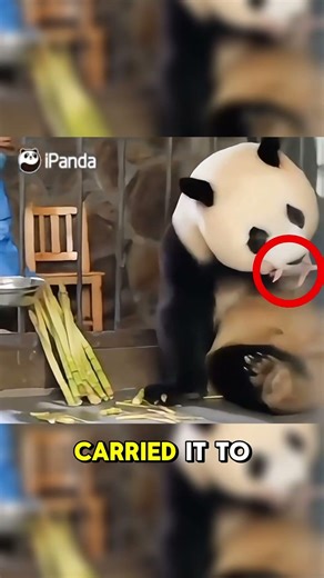 Researchers Didn’t Expect This Reaction...