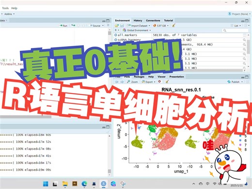 【真正0基础】R语言单细胞测序数据分析--umap+tsne图