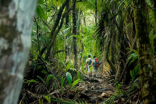Best hikes in Central America - Lonely Planet