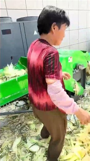 From Chaff Cutter to Silage Baler | Complete Silage Production Line in Action