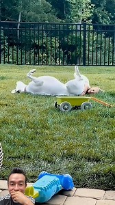 Ami Rodriguez on Reels