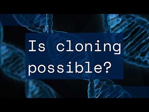 Is human cloning possible? Science explained