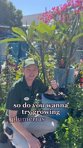 451K views · 5.3K reactions |  9 Things You Might Not Know About...