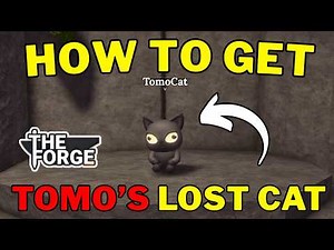 How To Find Tomo’s Cat in The Forge | How To Complete The Tomo's Cat Quest in The Forge