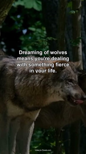 Dreaming of Wolves... #Shorts