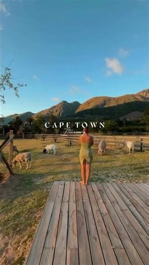 Explore the Beauty of Cape Town | Table Mountain, Beaches, Culture & Iconic Views