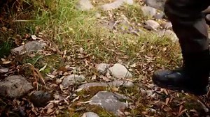 2.4K views · 151 reactions | Have you checked out our all-new Frequency series of lines? Six hard-working tapers designed to fish day after day. Only $49 a pop. Get it here: www.scientificanglers.com/frequency/ #whatsyourfrequency #flyfishing | Scientific Anglers | Facebook