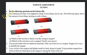 SCIENCE ASSIGNMENT CLASS 6 - Do the following questions in the ... | Filo