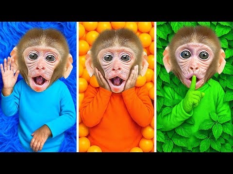 Monkey Bon Bon Funny Supermarket Shopping Day 😂🛒🎄