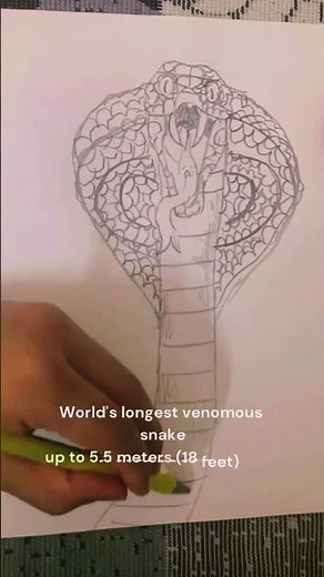 🐍Drawing a Realistic King Cobra in Pencil Snake Art #Shorts #ytshorts #trending#KingCobra #Art #fyp