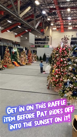 6.1K views · 49 reactions | Get in on this Raffle House Item at Festival of Trees Danville before it’s gone! Festival is open November 15-19 at the David S. Palmer Arena! Plan your visit at www.festivaloftreesdanville.com | Festival of Trees Danville | Facebook