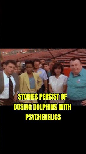 John C. Lilly and the Bizarre Human–Dolphin Experiments