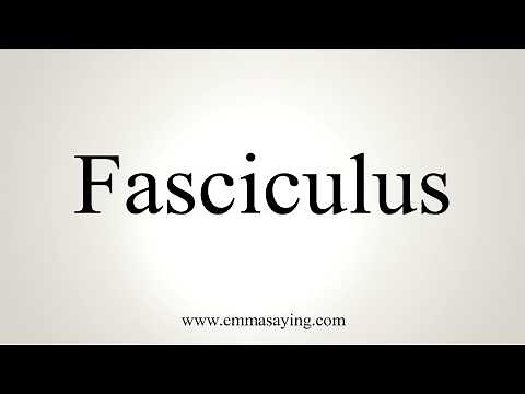 How To Pronounce Fasciculus