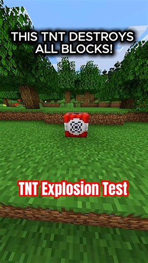 I DESTROYED EVERYTHING WITH ONE TNT! #minecraftshorts