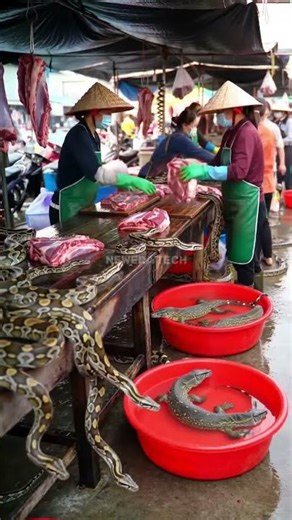 Morning Life at the Python Market‪@muhammadarif-ai‬