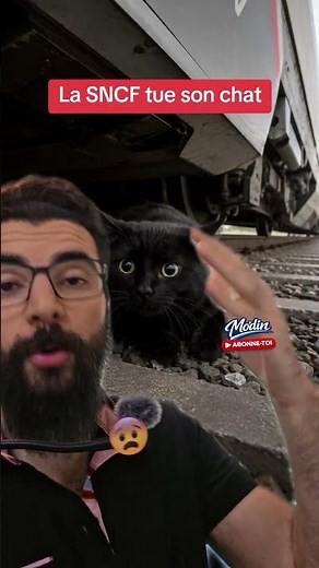🚨😱 SNCF kills a cat, they start the TGV in 20 minutes... ✨ #news #currentaffairs