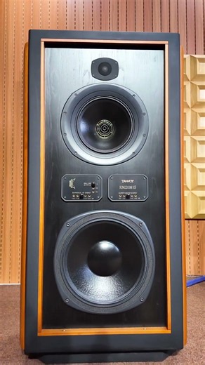 Stunning Tannoy Kingdom 15 Masterpiece. #speaker #home #music #trending #bahungaudio