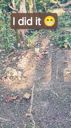 random loop #funny #butifyoucloseyoureyes #helpmemakethismakesense #memes #comedy