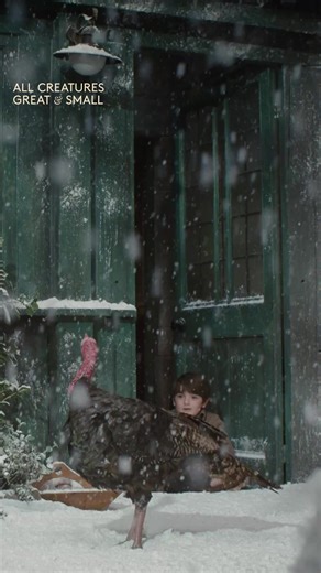 We hope you all had a Merry Bloody Christmas and your turkey was as wonderful as Mrs H's murkey looked! Don’t worry, Rudolph was not on the menu at Skeldale and is happily thriving. 🥰 If you're still in the festive spirit, you can catch up on the Christmas Special now on 5. 🎄 | All Creatures Great And Small