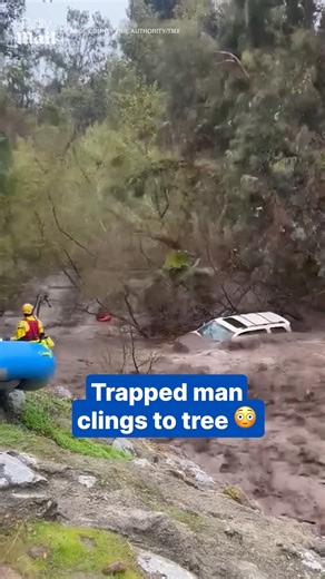 How did he get there?! 😳 | Daily Mail Video