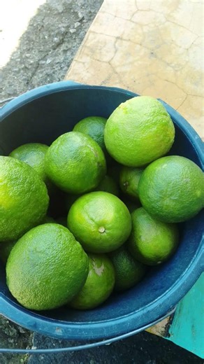 La tierra te alimenta #belleza #tierra