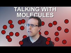 10 Examples of Molecular Communication