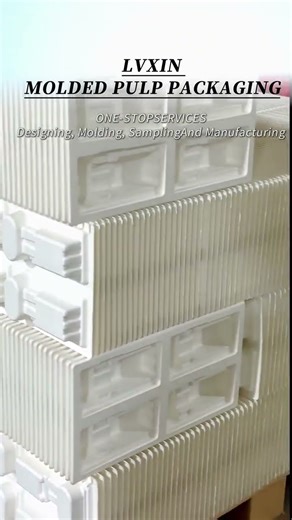Lvxin Packaging: Custom Molded Pulp Packaging from Design to Production
